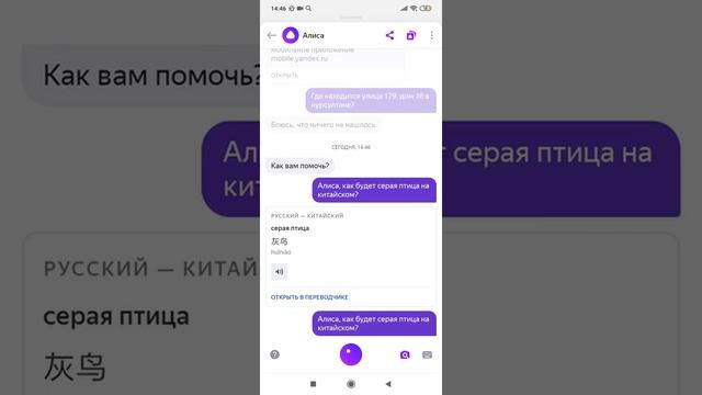 как будет серая птица на китайском? смотреть онлайн