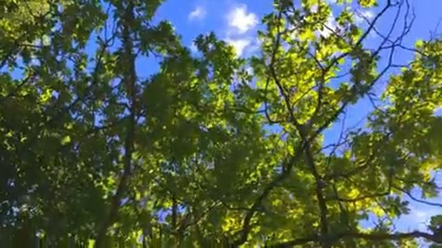 2 Hours Beautiful Meditation Music, Sleep Music, Ambient Study Music, Relaxing Peaceful Music