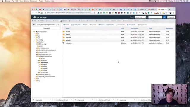 Backup Wordpress Site Directly in Cpanel 2019 смотреть онлайн