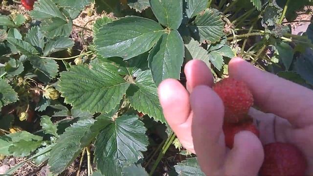 Приключения на Воде