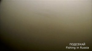 Рыбалка на леща с лодки Лещ на бортовую удочку