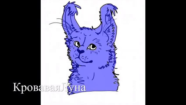 Рисую кота воителя Кровавая Луна мой персонаж смотреть онлайн