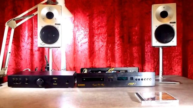 Rare Hand Made CD Player SUGDEN SDT1 TDA1541A S1 Single Crown