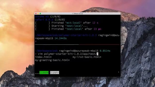 Polymer Starter Kit - Development workflow demo смотреть онлайн