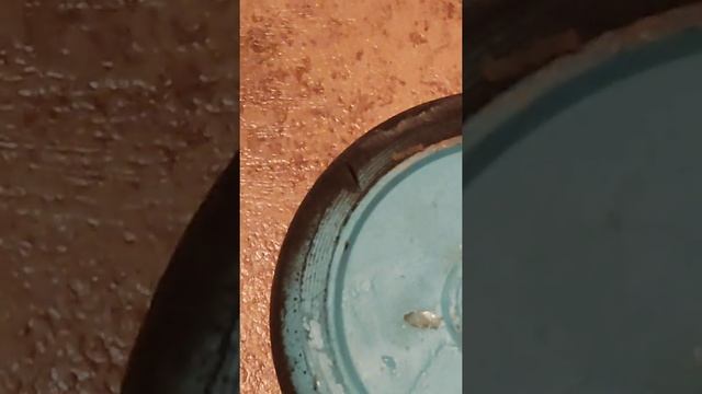 мой самокат ???? смотреть онлайн