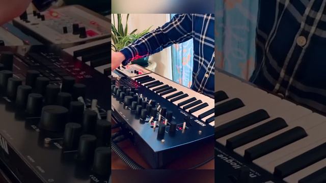 Korg Minilogue retro beat смотреть онлайн