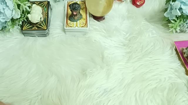 Pick A Deck Ep.639 เขาคิดและรู้สึกกับคุณมากกว่าความเป็นเพื่อน/พี่น้องหรือเปล่า Timeless (ทุกราศี) смотреть онлайн