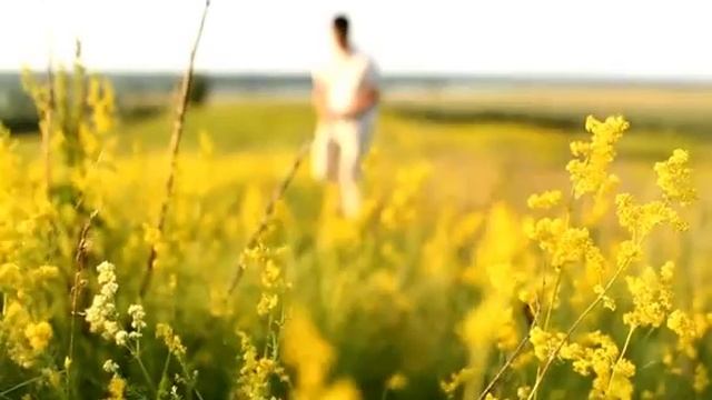 Проект Семейные фермы смотреть онлайн