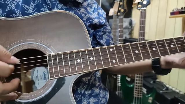 WE Guitars Grand CA TOP E смотреть онлайн