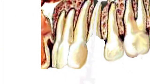 Творчество и дизайн