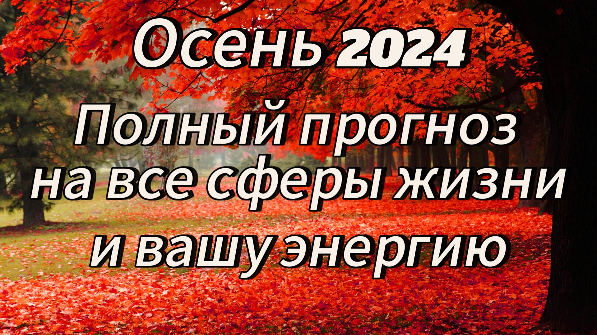 Осень 2024 для вас. Что она принесëт? Полный прогноз на 3 месяца 🎃👻 смотреть онлайн