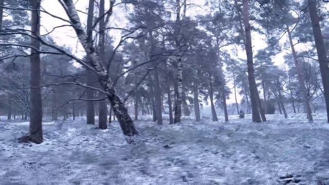 Наткнувшись на тело девушки, тигр хотел её разорвать, но, вдруг, он узнал её лицо начал... смотреть онлайн