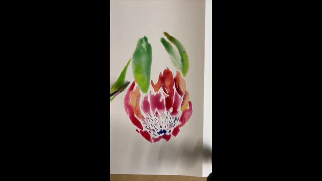 Quick Protea flower sketch on Karst stone paper смотреть онлайн