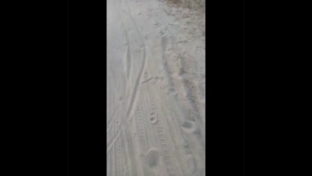 прогулка с собакой смотреть онлайн