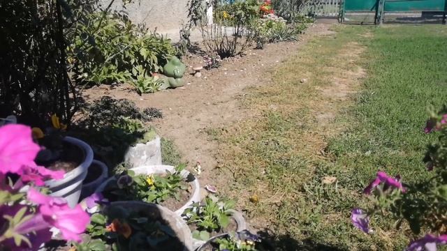 Чем кормят первоклашек в Краснодарском крае, мои откровенные признания, вирусная ангина или ? смотреть онлайн