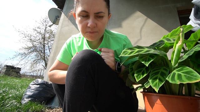 I ZNOWU PRZYSZEDŁ TEN DZIEŃ :/ смотреть онлайн