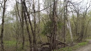 Дети сдали отца в приют и продали его дом… А приехав за "добавкой", обомлели, узнав кто его забрал…