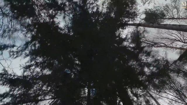 ПОСЕЛОК-КУРОРТ на берегу ИСТРИНСКОГО ВОДОХРАНИЛИЩА|Большая вода|Продажа земельных участков|M9LAND.R смотреть онлайн