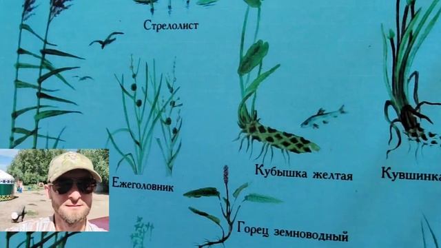 Флора и фауна рек Белой и Ашкадар в Стерлитамаке, ознакомительные плакаты на Лодочной станции. смотреть онлайн