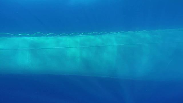 траление на экваторе! trawling on the equator смотреть онлайн