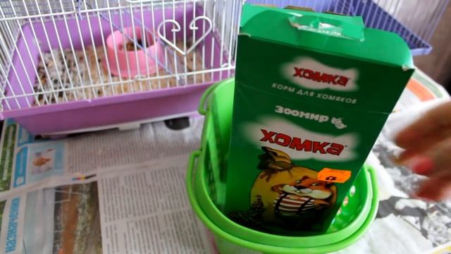 КАК УХАЖИВАТЬ ЗА ХОМЯКАМИ? | СОВЕТЫ ПО УХОДУ И СОДЕРЖАНИЮ смотреть онлайн