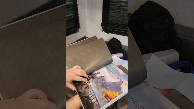 world of warcraft dragonflight limited edition смотреть онлайн