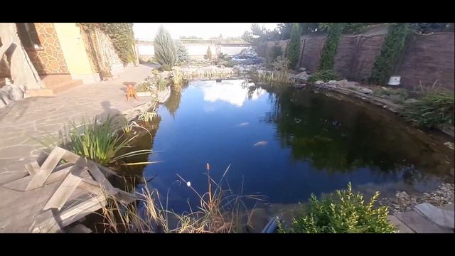 Беседка. Пруд. Своими руками. Ландшафтный дизайн во дворе. Саша Кривой Рог. смотреть онлайн