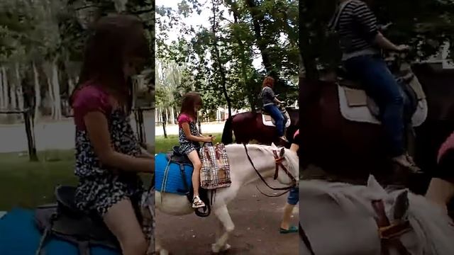 Маленькая лошадка, пони смотреть онлайн