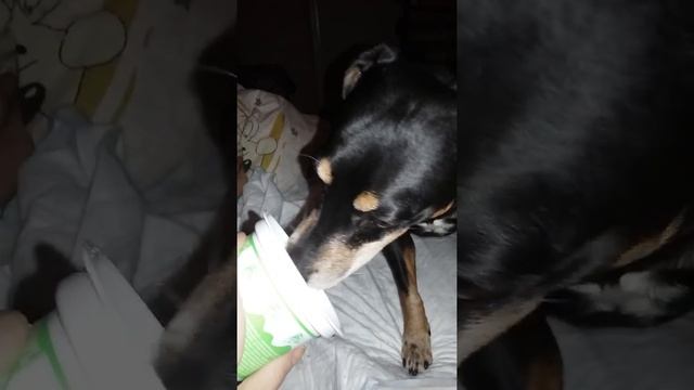 Ест сметану смотреть онлайн