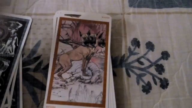 Greek And Greek Themed Tarot, Lenormand And Oracle Decks смотреть онлайн