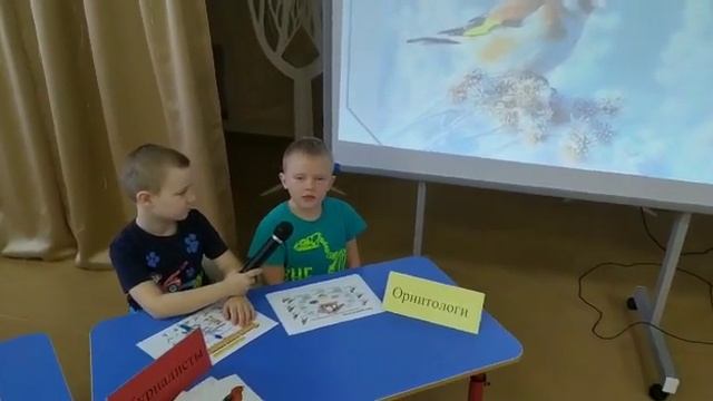 щегол птица смотреть онлайн