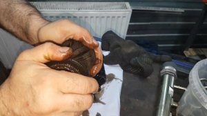 Стружка в фильтре БМВ Х5 Е70 BMW X5 E70