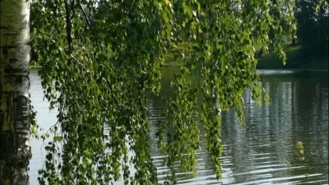 Что любовь ты делаешь, ох, со мной... муз. Н. Зубарева-Ананьевского. сл. В. Пухначёва. смотреть онлайн