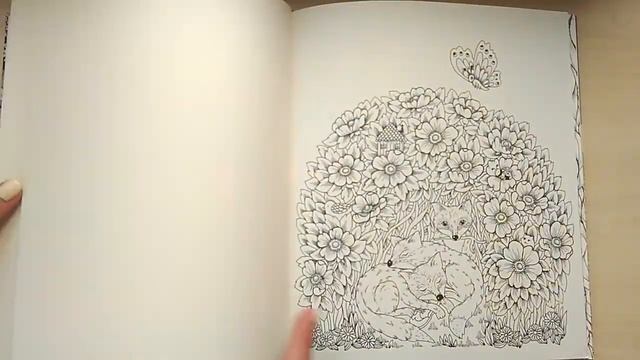 Обзор на раскраску "Droom reis"// Виви ищет друга// Голландское издание смотреть онлайн