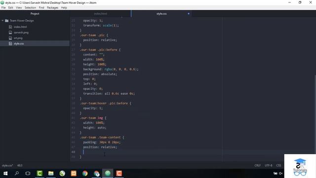 Team Card Hover Effect | Demo 8 | Html, Css & Bootstrap | SR Tutorials смотреть онлайн