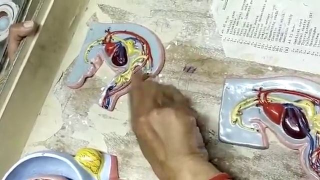 Development of GIT смотреть онлайн