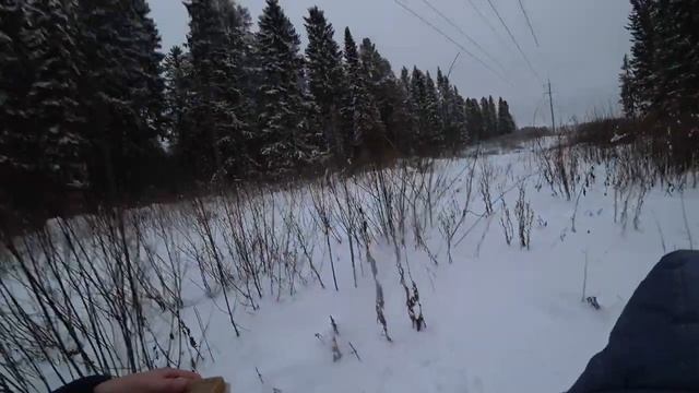 Прогулялка в зимний лес. 2 января 2021 смотреть онлайн