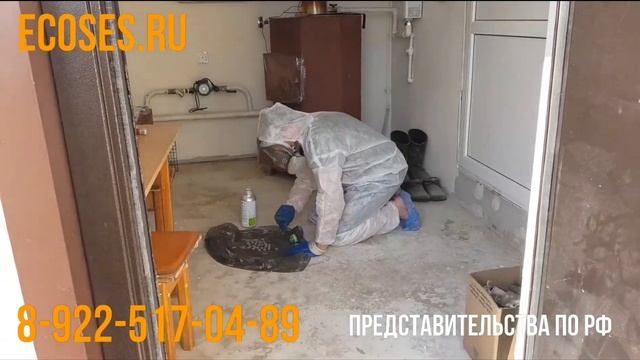 Обработка от короеда дома методом фумигации! смотреть онлайн