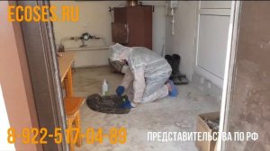 Обработка от короеда дома методом фумигации!