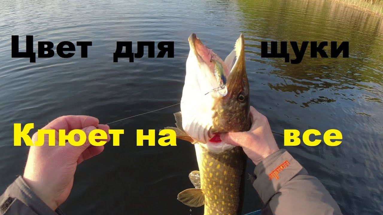 Ищем нерабочий цвет воблера для щуки смотреть онлайн
