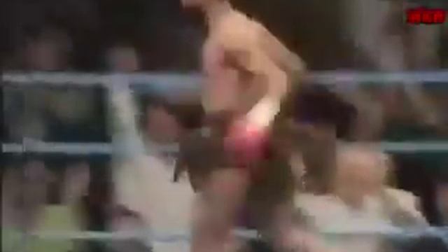 Самый веселый  боксёр в мире. Funniest Boxer In The World