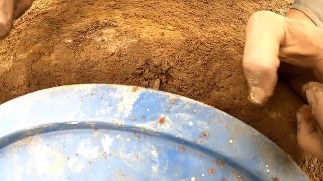 Great! A Simple Way To Trap Wild Chickens With A Plastic Cap | Corodile King смотреть онлайн