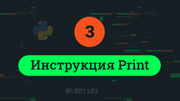 Инструкция print