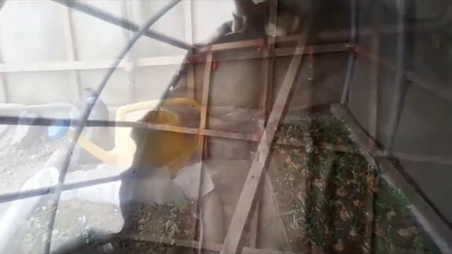 Теплица своими руками,не дорого.greenhouse on the plot. смотреть онлайн
