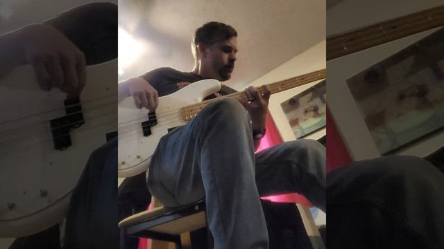 Arctic White Precision Bass смотреть онлайн
