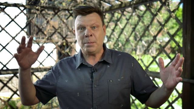 В кольце друзей №31 смотреть онлайн