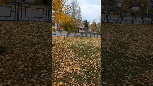 6 октября 2023 г. смотреть онлайн