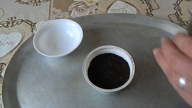 Как вырастить лаванду Посев семян смотреть онлайн