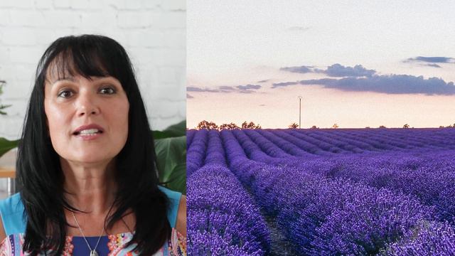 Diffuse Lavender Essential Oils смотреть онлайн