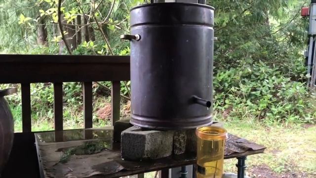 ? Rare Steam & Hydro Distillations Of Cedrus Libani (Cedar Of Lebanon) Essential Oil ?